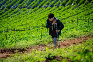 BIB: 
                            <button type="button" onclick="openModal(19162458)" class="btn btn-primary btn-sm float-right btn-popup" data-toggle="modal" data-target=".modal-high-quality">
                        <i class="fas fa-shopping-cart"></i> Add to Cart
                    </button>
                                            <button type="button" onclick="isThisMe(19162458, true)" class="btn btn-success btn-sm float-right btn-popup btn-isme hidden" data-toggle="tooltip" data-placement="bottom" title="นี่คือรูปของคุณใช่ไหม คลิกที่นี่เพื่อเอาเข้าอัลบั้ม">
                        <i class="fas fa-plus"></i> Add to album
                    </button>
                    <button type="button" onclick="isThisMe(19162458, false)" class="btn btn-warning btn-sm float-right btn-popup btn-isnotme hidden">
                        <i class="fas fa-ban"></i> Remove from album
                    </button>